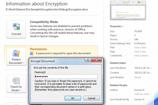 Encrypt Word Document