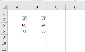 Filter results in MS Excel.png