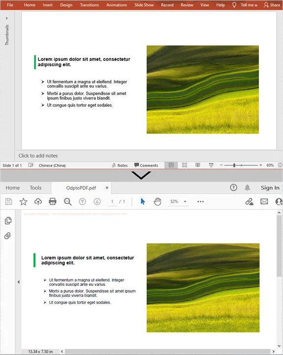 C#을 사용하여 ODP 파일에서 변환된 PDF 스크린샷
