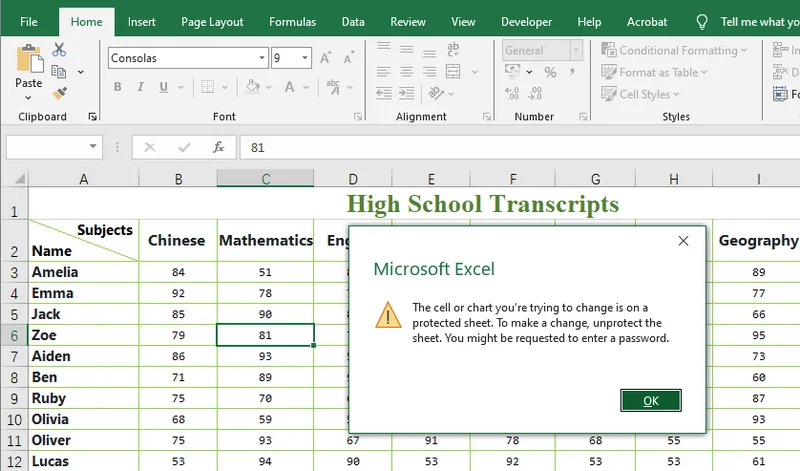 Excel-Zellen sind mit Free Spire.XLS für Python gesperrt