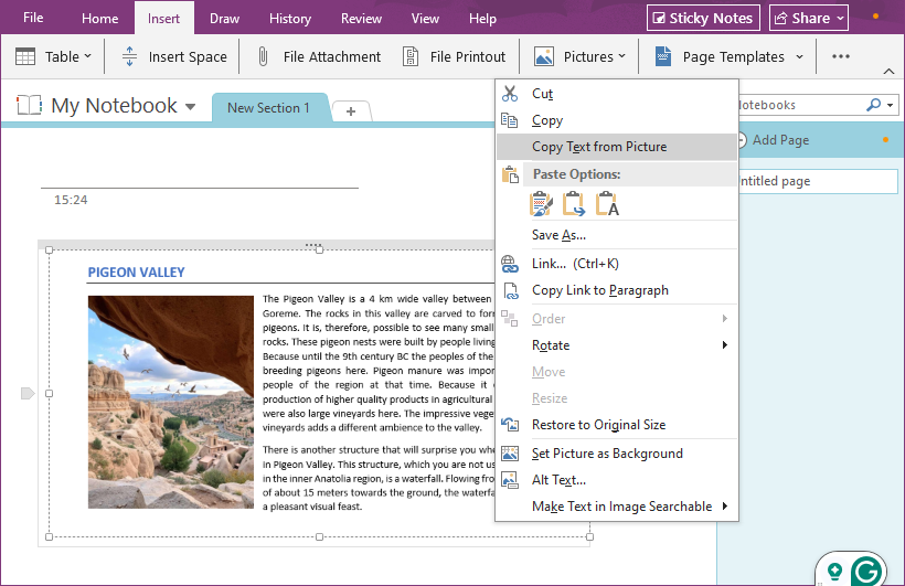 Копировать текст с изображения с помощью Microsoft OneNote
