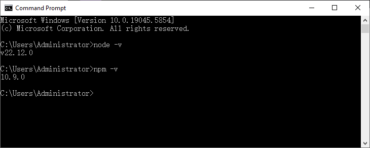 Verify Node.js and npm versions via command line